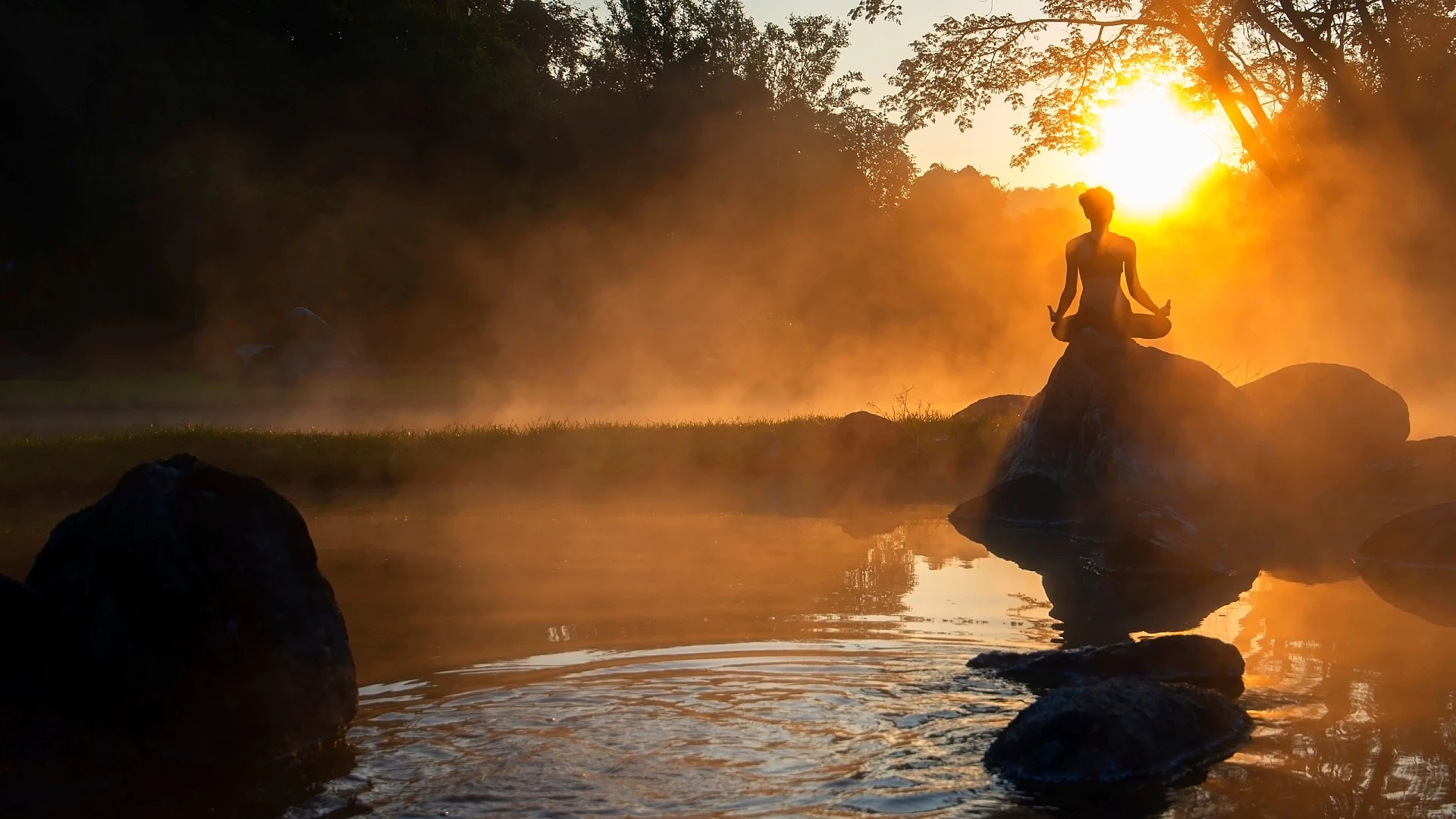 Heilmassage Zitat Alexander Felzmann Heilmassage Zitat Alexander Felzmann